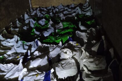 Mosca-da-carambola: Adaf apreende mais de uma tonelada de pimenta-de-cheiro em barreira de vigilância