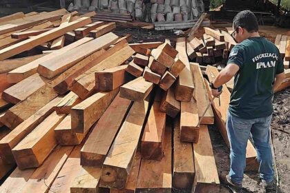 Ipaam e BPAmb apreendem madeira ilegal em Manacapuru, fecham olaria e aplicam multas superiores a R$ 290 mil