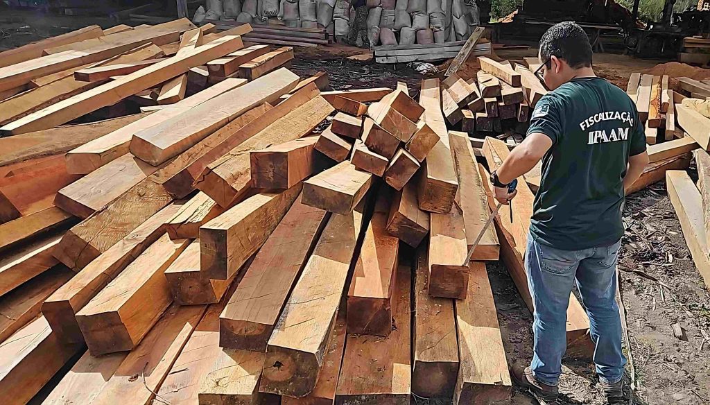 Ipaam e BPAmb apreendem madeira ilegal em Manacapuru, fecham olaria e aplicam multas superiores a R$ 290 mil