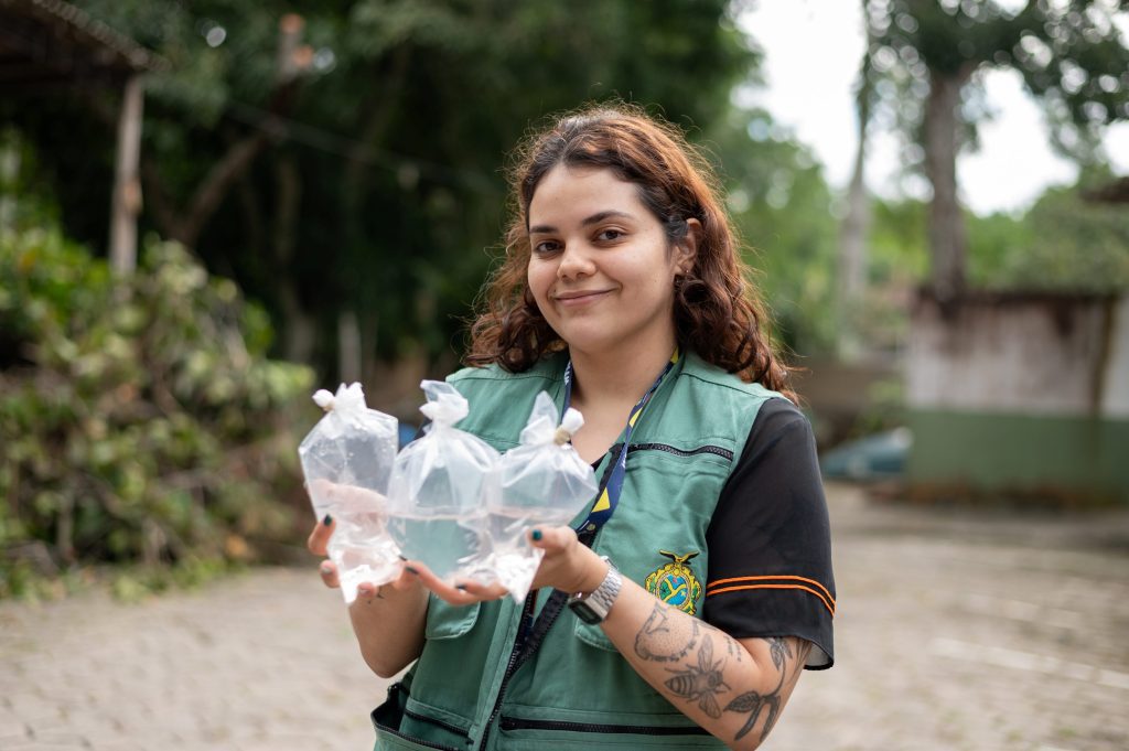 Ipaam e Ibama resgatam três salamandras exóticas ameaçadas de extinção e comercializadas ilegalmente no Brasil