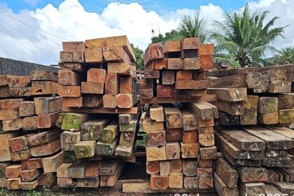 Ipaam e BPAmb fazem nova fiscalização no Ramal Santo Antônio, apreendem madeira ilegal e doam material