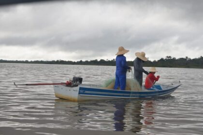 Fim do defeso: pesca do tambaqui é liberada a partir de 1º de abril no Amazonas
