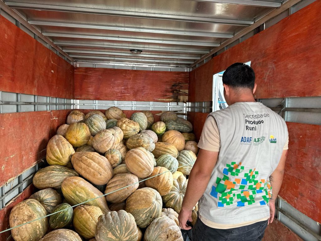 Governo do Amazonas adquire 25 toneladas de jerimum por meio do PAF