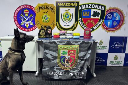 Base Arpão 3: Cão policial encontra 14 quilos de drogas escondidos em malas