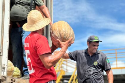 ADS adquire 71 toneladas de jerimum da agricultura familiar em quatro municípios do interior