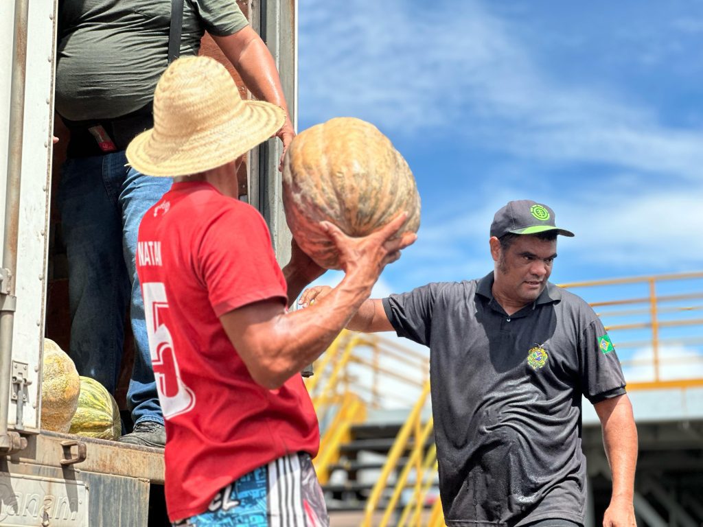 ADS adquire 71 toneladas de jerimum da agricultura familiar em quatro municípios do interior