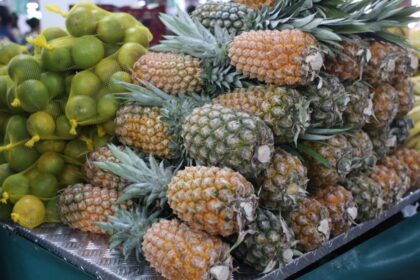 ADS realiza primeira edição Especial de Feiras de Produtos Regionais na Secretaria de Cultura e Economia Criativa