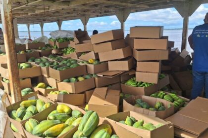 Operação Cheia 2025: Governo do Amazonas adquire 25 toneladas de alimentos em Manacapuru