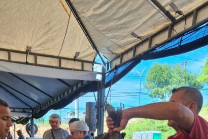 Feirão do Pescado: ADS registra venda de mais de 12 toneladas de peixes no segundo dia do evento