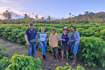Dia de Campo: Idam leva boas práticas de cafeicultura para 150 produtores de São Sebastião do Uatumã