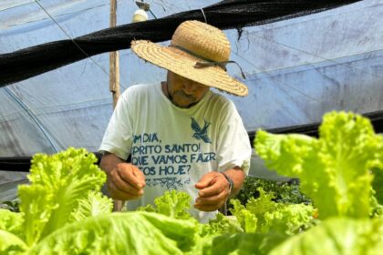 Idam divulga requisitos para enquadramento na categoria de Agricultor Familiar