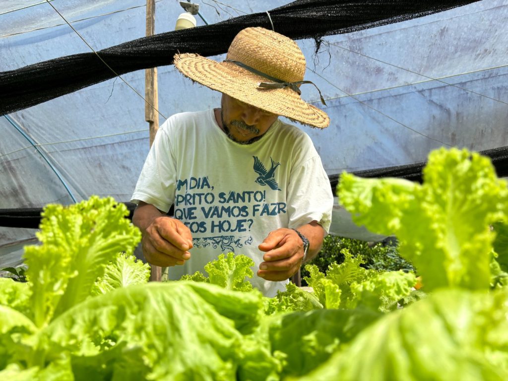 Idam divulga requisitos para enquadramento na categoria de Agricultor Familiar