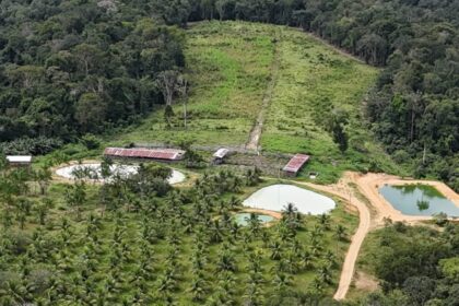 Operação do Ipaam, CPAmb e BPAmb aplica R$ 1,6 milhão em multas por crimes ambientais em Rio Preto da Eva