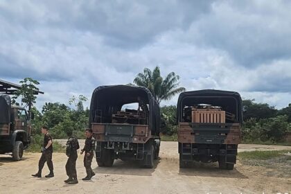 Ipaam e PMAM doam madeiras apreendidas em crimes ambientais em Manacapuru para Exército e RPMon