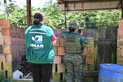 Ipaam aplica multa de quase R$ 500 mil a criador por maus-tratos a 104 porcos e 6 animais silvestres