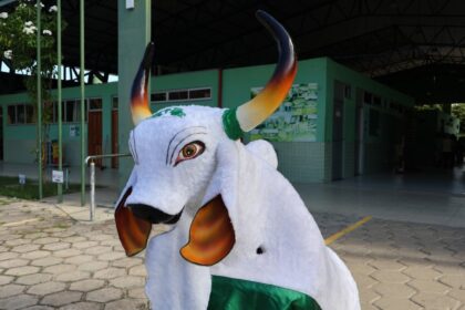 FUnATI aproxima idosos da cultura regional com escolha do nome do boi-bumbá da instituição