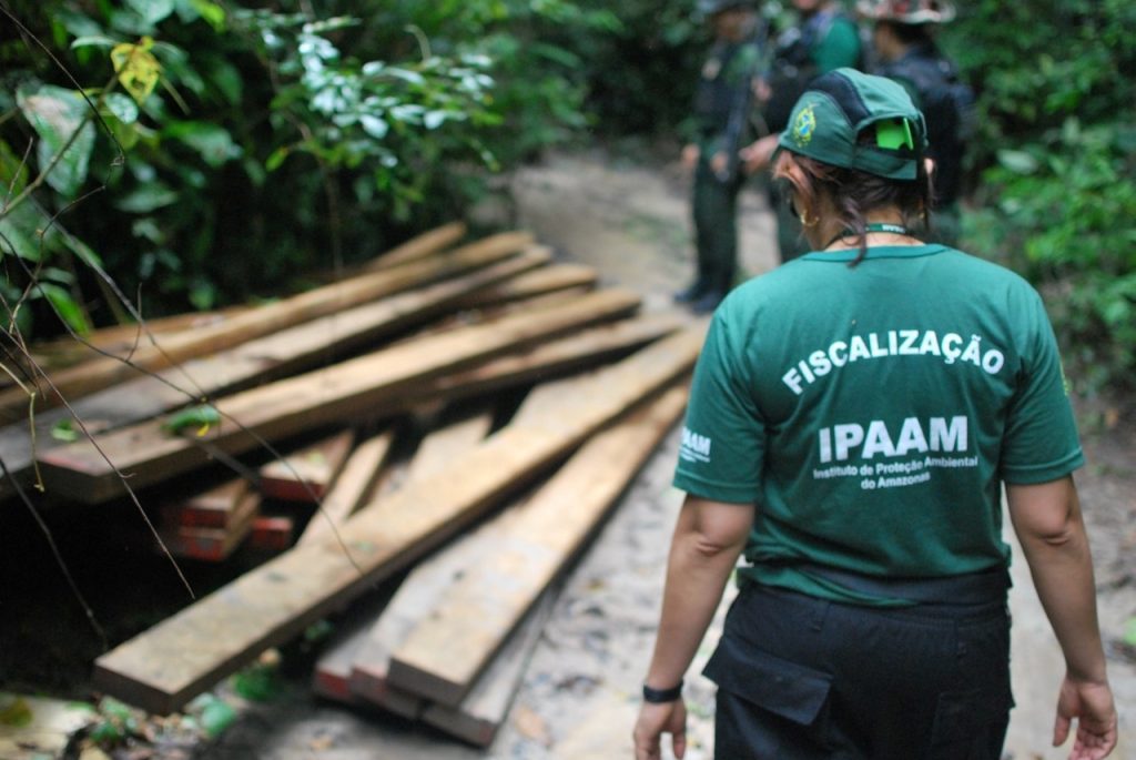 Relatório Anual de Desmatamento 2024 destaca efetividade das ações de fiscalização do Ipaam no Amazonas