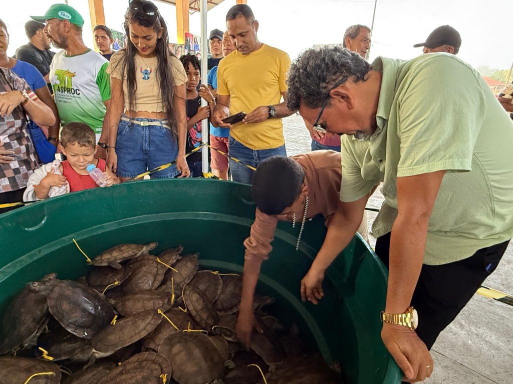 Avanço histórico: Amazonas promove pela primeira venda legal de quelônios manejados em Carauari