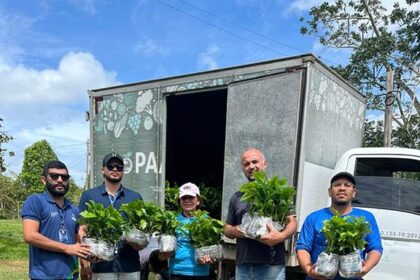Sepror fomenta projeto-piloto de cafeicultura com base familiar em Rio Preto da Eva com 30 agricultores