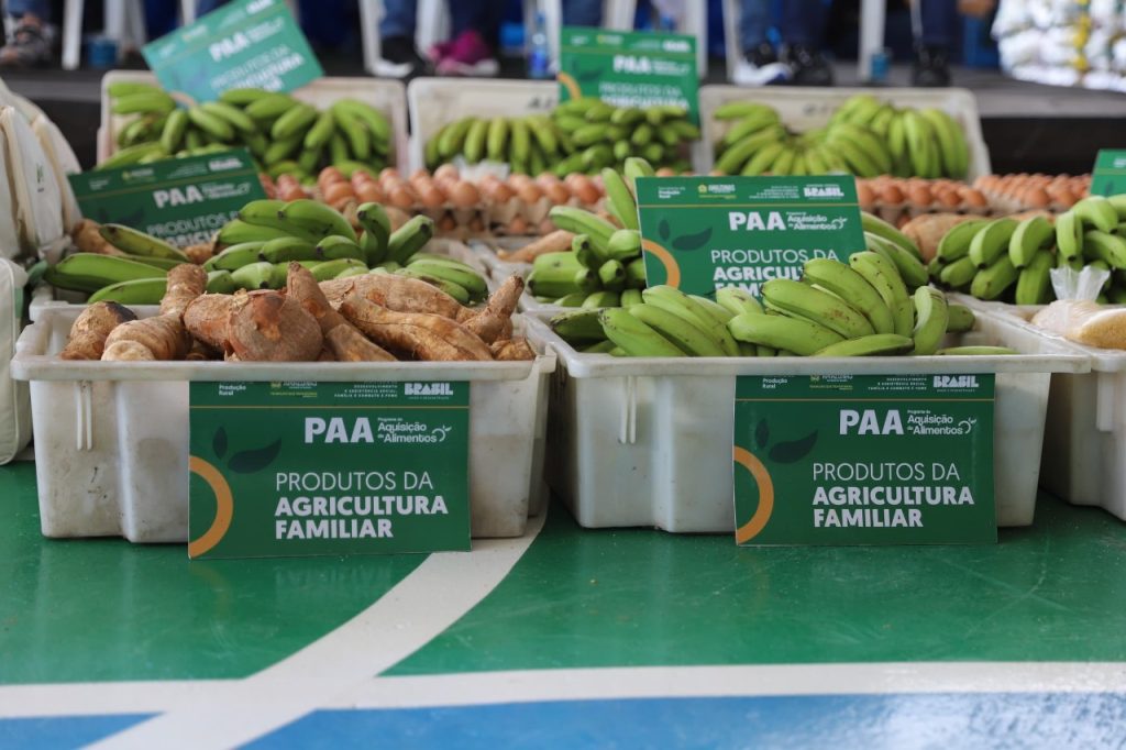 Governo do Amazonas potencializa setor primário no município de Tapauá