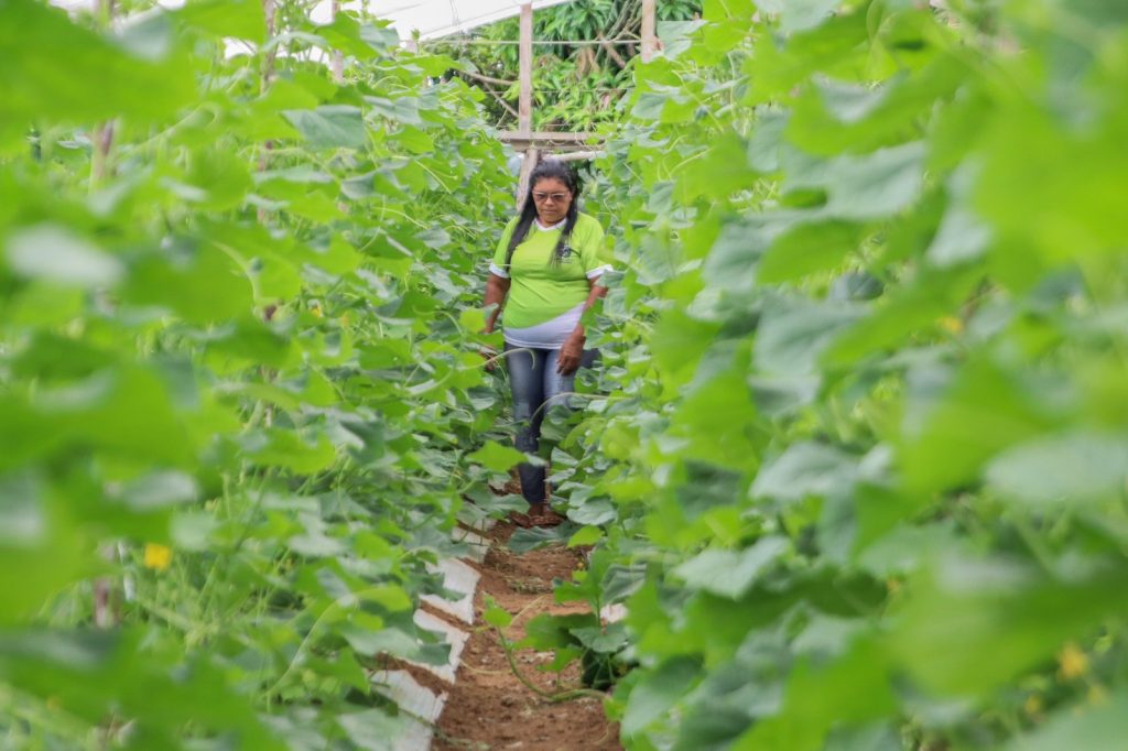 Dia do Trabalhador Rural: A luta e o orgulho de produzir no coração do Amazonas