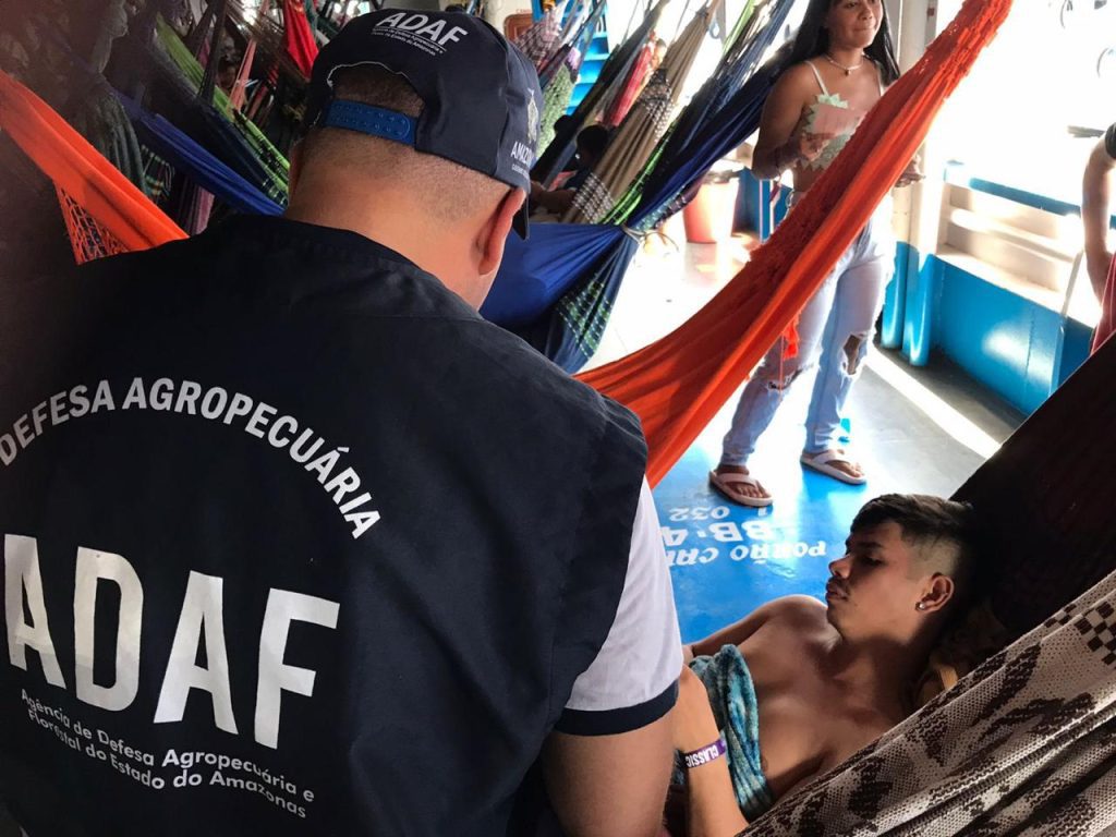 Festival de Parintins 2025: Adaf alerta visitantes de Parintins sobre restrição de trânsito de frutos hospedeiros de pragas