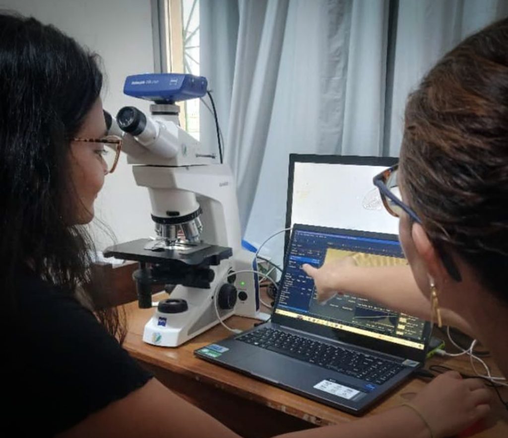 Com apoio do Governo do Amazonas, pesquisa identifica duzentas espécies de microalgas em Parintins
