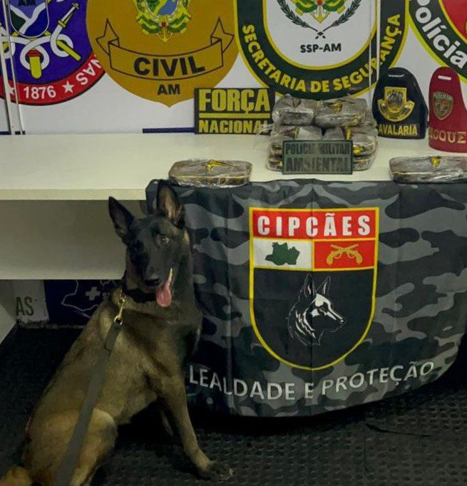 Base Arpão 3: Cadela policial encontra 13 quilos de cocaína escondido em armário de embarcação