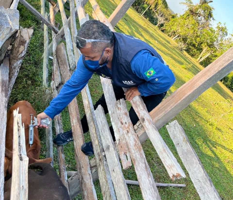 Adaf prorroga vacinação contra raiva dos herbívoros até 30 de setembro