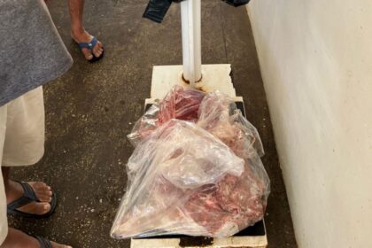 Ipaam apreende carne de capivara comercializada ilegalmente em feira de Itacoatiara
