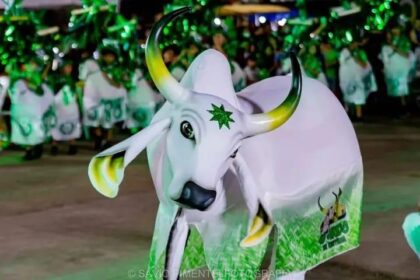 Em Parintins, revistas em quadrinhos resgatam história do Boi Mirim Estrelinha e celebram tradição infantil em Parintins