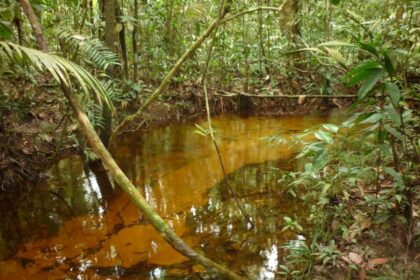Pesquisa apoiada pelo Governo do Amazonas analisa fontes de água e possíveis alterações relacionadas à urbanização