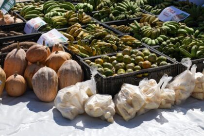 Governo do Amazonas adquire três toneladas de alimentos de produtores de Envira