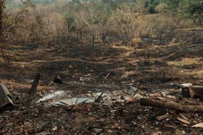 Comissão promove na Câmara a 3ª Virada Parlamentar Sustentável
