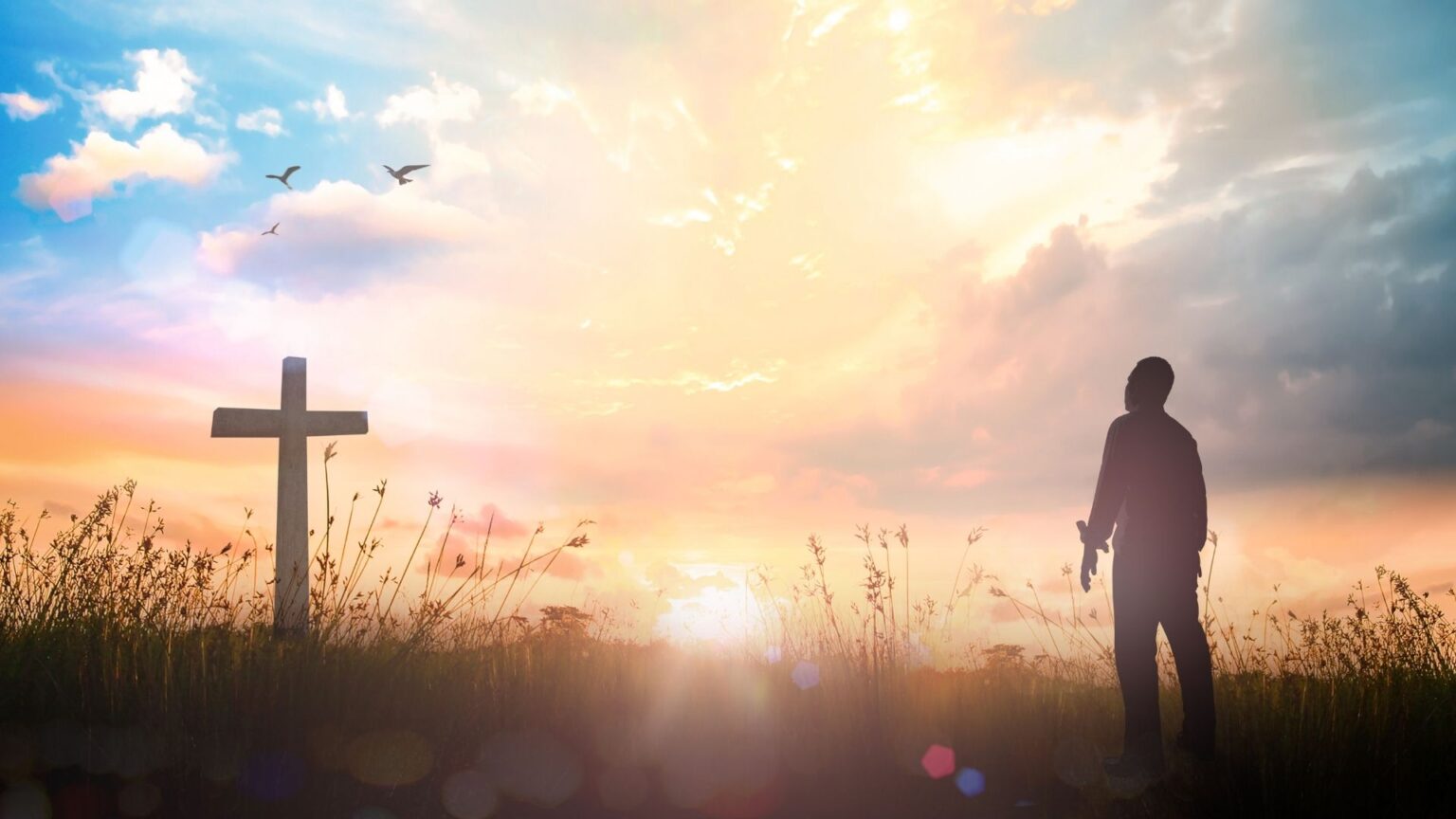 A Sombra do Onipotente: Lugar de Cura, Renovação e Descanso