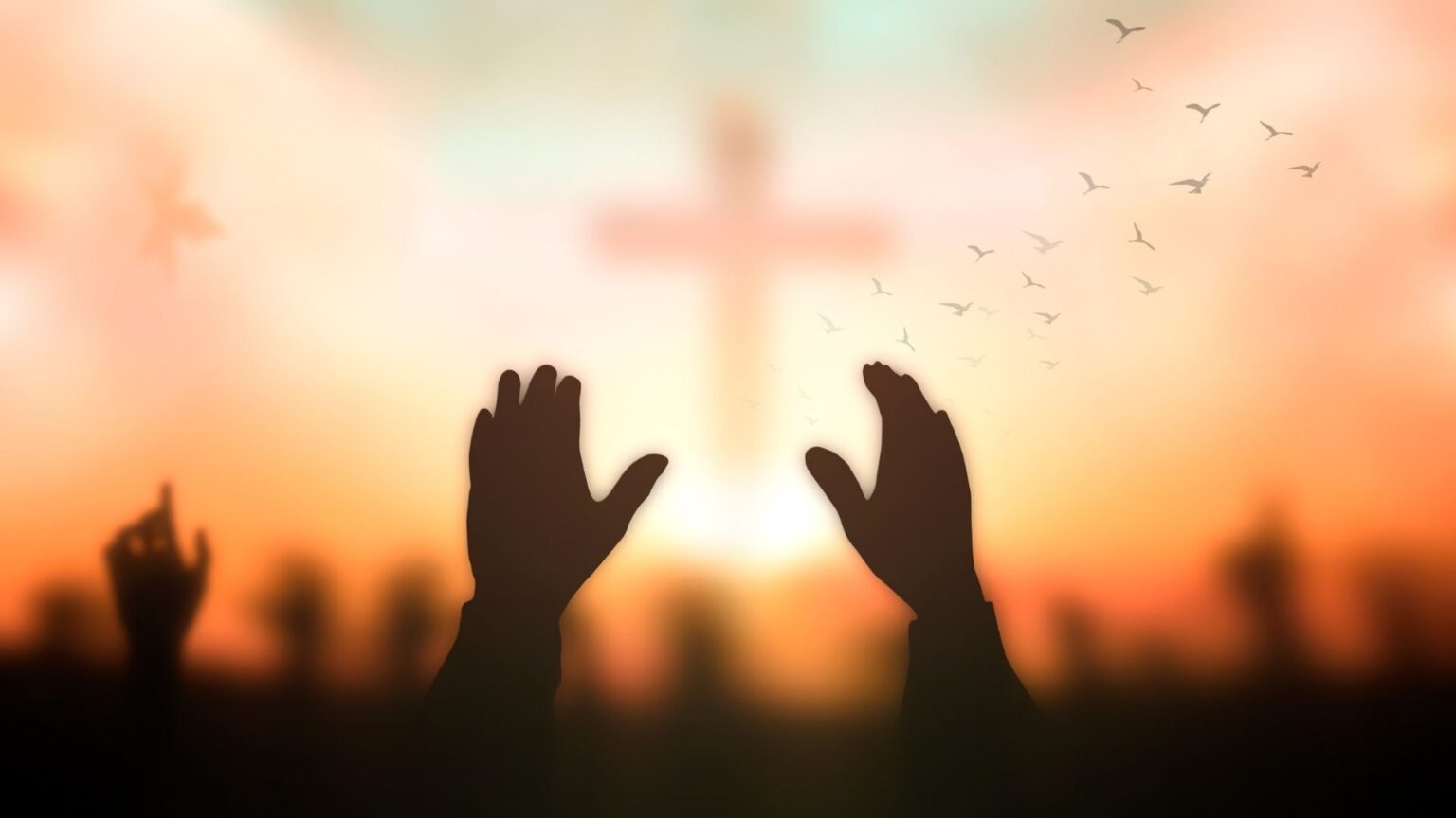 Vida Longa e Abençoada: O Que a Bíblia Diz Sobre o Cuidado Divino