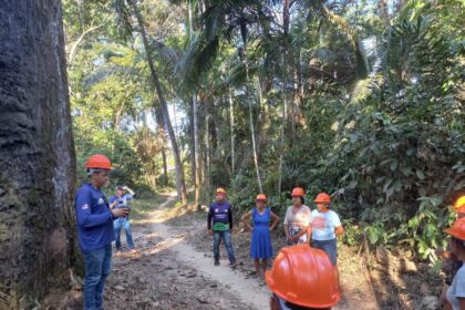 Idam já capacitou 272 extrativistas como parte do projeto Paisagens Sustentáveis da Amazônia em 2025
