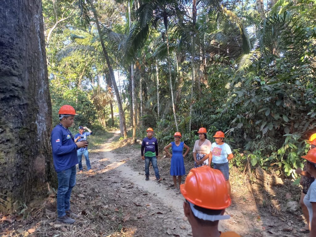 Idam já capacitou 272 extrativistas como parte do projeto Paisagens Sustentáveis da Amazônia em 2025