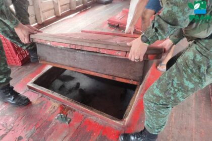 Ipaam e Batalhão Ambiental da PM apreendem cinco toneladas de peixe sem documentação no bairro Educandos