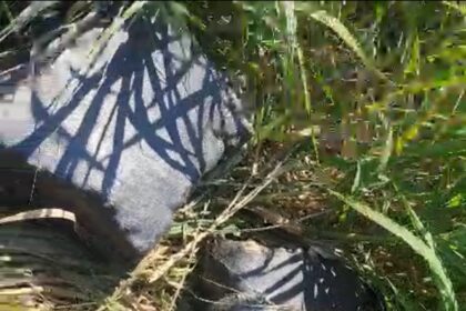 Operação Impacto: Policiais apreendem 680 quilos de drogas em sacos de fibra
