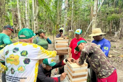 Em Barcelos, Idam atua na capacitação de meliponicultores