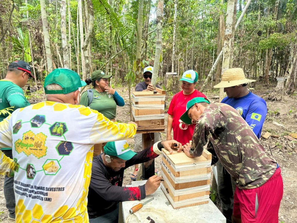 Em Barcelos, Idam atua na capacitação de meliponicultores