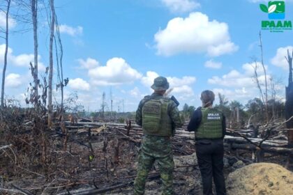 Ipaam aplica mais de R$ 90 mil em multas por crimes ambientais na Região Metropolitana de Manaus