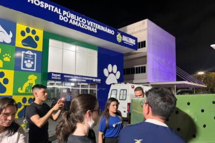 Operação da Sepet-AM resgata 24 cachorros em situação de maus-tratos no bairro Flores, em Manaus