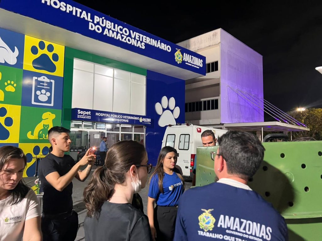 Operação da Sepet-AM resgata 24 cachorros em situação de maus-tratos no bairro Flores, em Manaus