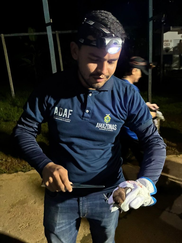 Vacinação contra a raiva dos herbívoros se encerra nesta sexta-feira, alerta Adaf