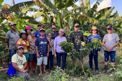 Em Autazes, Idam faz treinamento de poda de frutíferas e cultivo de hortaliças