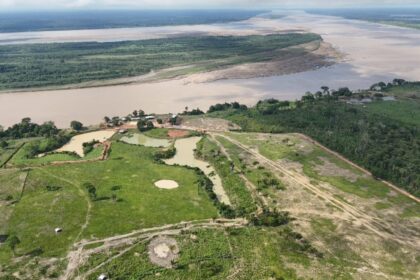 Ipaam multa posseiro em mais de R$ 24,3 milhões pelo maior desmatamento do ano em Borba