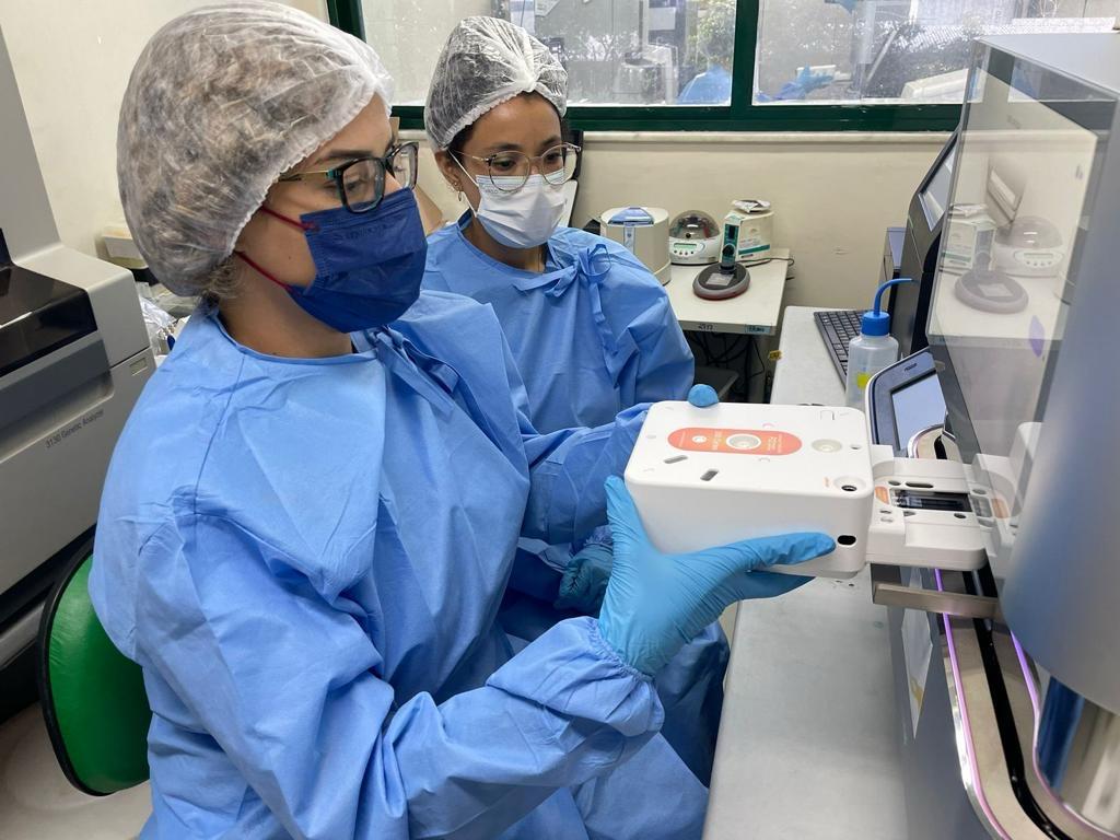 Surto de Oropouche na Amazônica Ocidental foi causado pelo inseto maruim