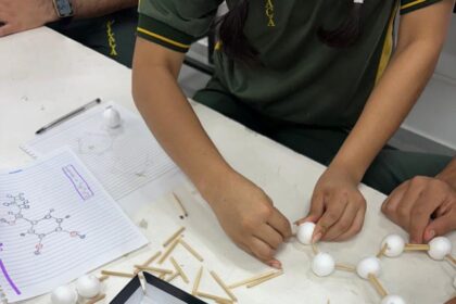Governo do Amazonas apoia projeto que ensina estruturas hormonais femininas com bioinformática, modelagem e impressão 3D